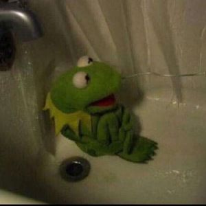 Meet your Posher, Mona